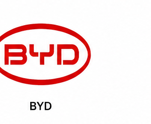 BYD mechanic in Lagos State
