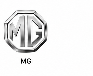 MG technician in Lagos State