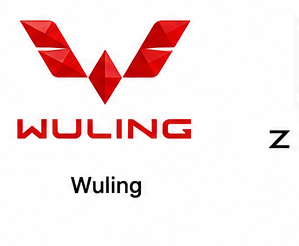 Wuliing technician in Lagos State